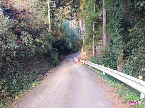 様子がおかしい……？