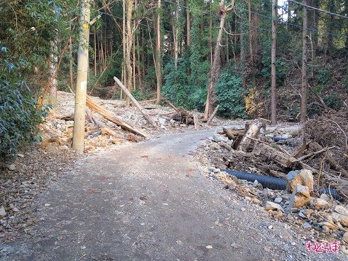 崩落した土砂の上を通っていきます