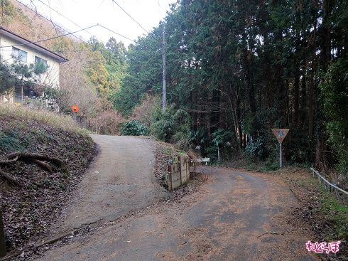 最後の民家を越えると一気に落ち葉が目立つように