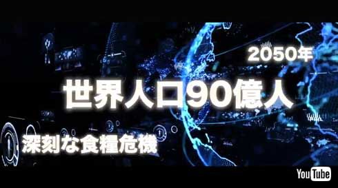 ヤマモリ 2050年カレー 植物性 代替肉 大豆 フェイクミート 次世代 レトルトカレー