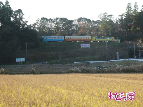 いすみ鉄道