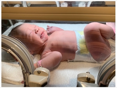 キンタロー。 出産 夫 ブログ ちびキンちゃん 子ども