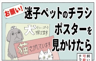 迷子ペットのポスターを見かけたら