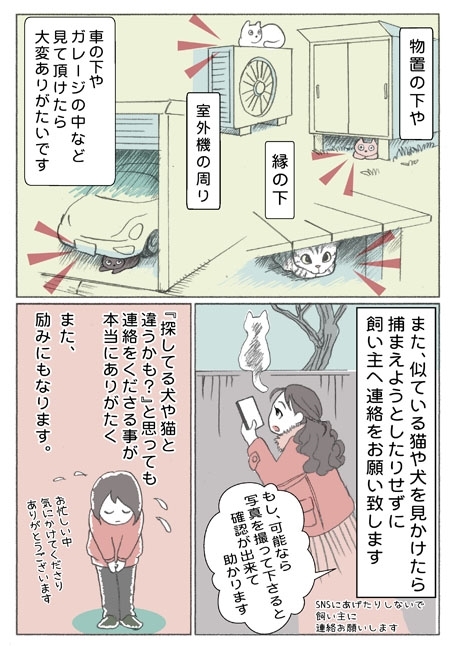 迷子ペットのポスターを見かけたら