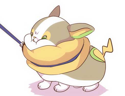 ポケモン 漫画 ワンパチ かわいい 4コマ イヌヌワン ぱこ