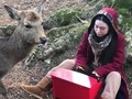 ピアニストの妻「奈良の鹿に聴かせたい」　トイピアノの即興演奏に聴き入る鹿が話題に　「まるでおとぎ話の世界」の声