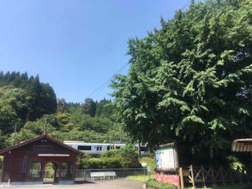  36ぷらす3 鉄道 JR九州 観光列車 D&S列車 水戸岡 デザイン 787系 宗太郎駅