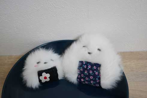 おばあちゃん 飼ってた どでか ポメラニアン 大きい デカい モチパン