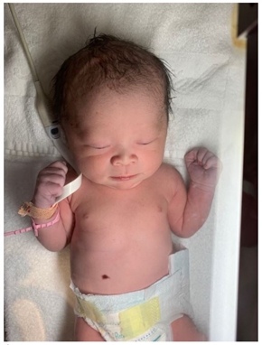 キンタロー ちびキンちゃん 旦那 出産 いつ