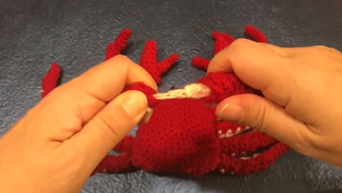 ズワイガニ カニ 蟹 あみぐるみ