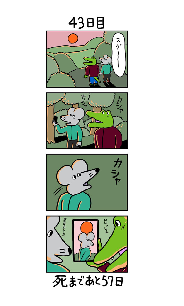 43日目