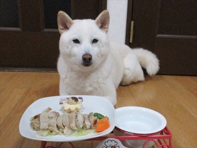 白柴『きなこ』のお気楽ブログ