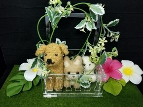 ヴィレヴァン 推し活 もちマス