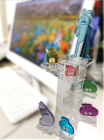 ヴィレヴァン 推し活 もちマス