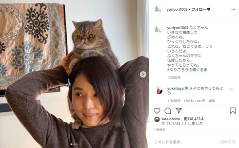 石田ゆり子 かたぐるま ねこぐるま ハニオ 猫 ペット