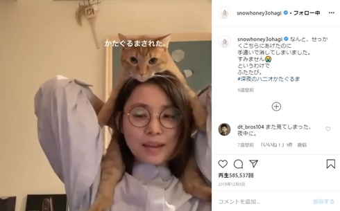 石田ゆり子 かたぐるま ねこぐるま ハニオ 猫 ペット