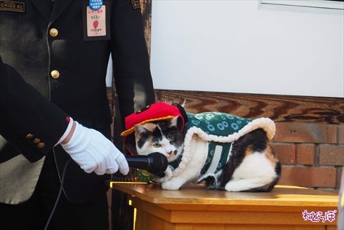 和歌山電鐵貴志川線たま電車