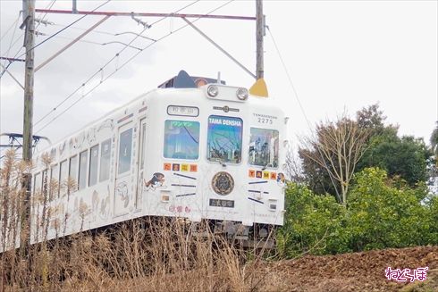 和歌山電鐵貴志川線たま電車
