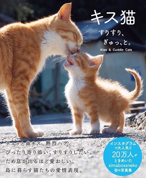 キス猫