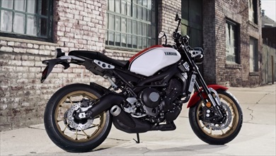 新色「ラジカルホワイト」を設定