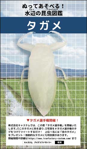 広島県 キャステム 捕獲 売買 禁止 タガメ リアル フィギュア 2020年2月10日 発売