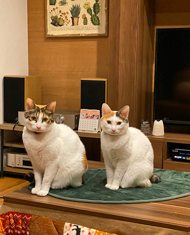ふくてんさん
