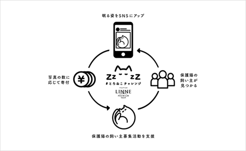 とろねこチャレンジ