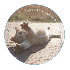 沖昌之さん猫イベント