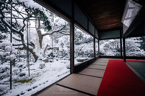 積雪と灯籠が美しい　京都の貴船神社が白銀に包まれた写真に「とても綺麗」の声