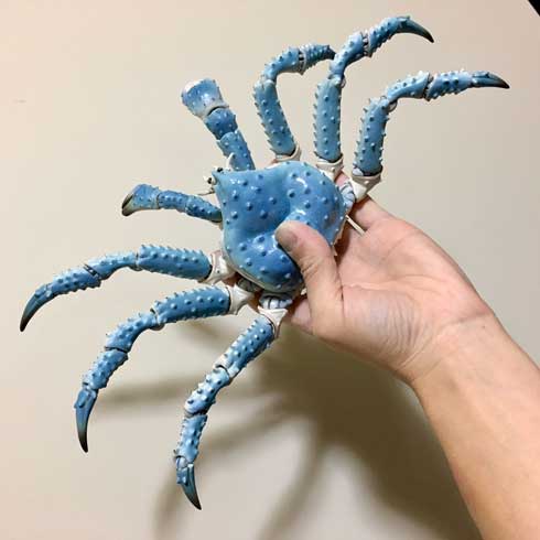 陶器 青い タラバガニ カニ 動く 脚 岡村悠紀 陶芸家