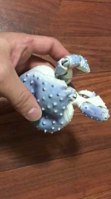 陶器 青い タラバガニ カニ 動く 脚 岡村悠紀 陶芸家