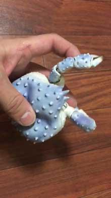 陶器 青い タラバガニ カニ 動く 脚 岡村悠紀 陶芸家