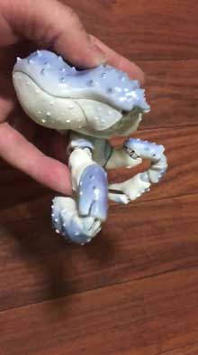 陶器 青い タラバガニ カニ 動く 脚 岡村悠紀 陶芸家