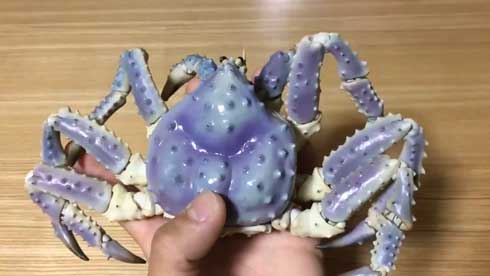 陶器 青い タラバガニ カニ 動く 脚 岡村悠紀 陶芸家