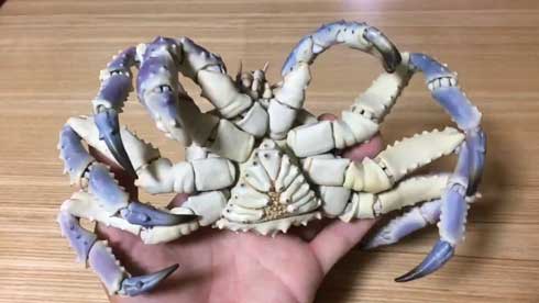 陶器 青い タラバガニ カニ 動く 脚 岡村悠紀 陶芸家