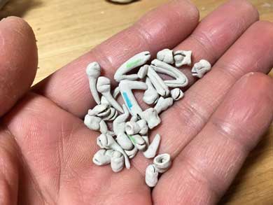 陶器 青い タラバガニ カニ 動く 脚 岡村悠紀 陶芸家