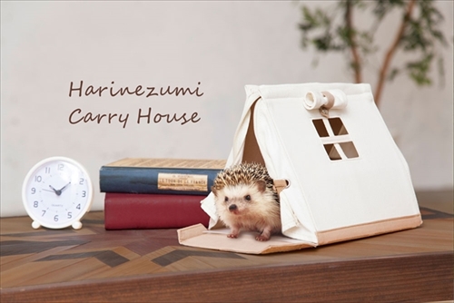 ハリネズミキャリーハウス