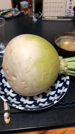 石器時代 カツ丼 ドラえもん のび太の日本誕生 秘密道具 畑のレストラン ダイコン 再現