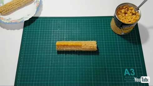 コーン缶 何本分 入っている 検証 動画 YouTube