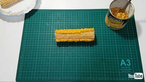 コーン缶 何本分 入っている 検証 動画 YouTube