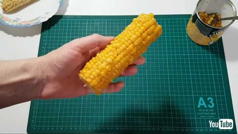 コーン缶 何本分 入っている 検証 動画 YouTube