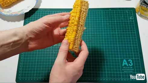 コーン缶 何本分 入っている 検証 動画 YouTube