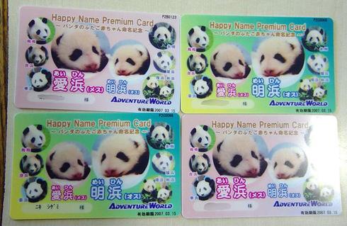 パンダ　パンダ沼