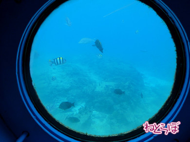 ゆいレール 沖縄 首里城