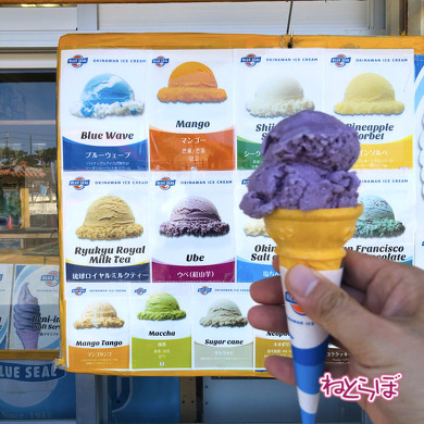 ゆいレール 沖縄 首里城 海中道路 平和祈念公園とひめゆりの塔ま