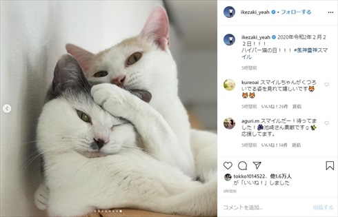 サンシャイン池崎 保護猫 風神 雷神 スーパープレミアム猫の日 2月22日 マル オレオ ブログ Twitter