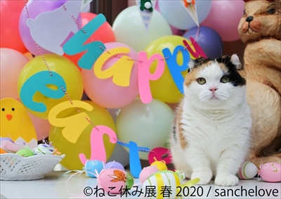 ねこ休み展 春