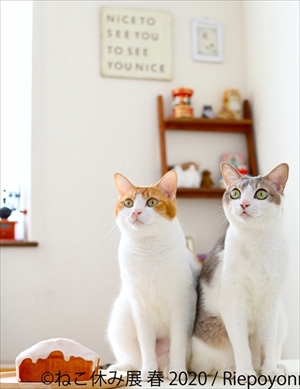 ねこ休み展 春