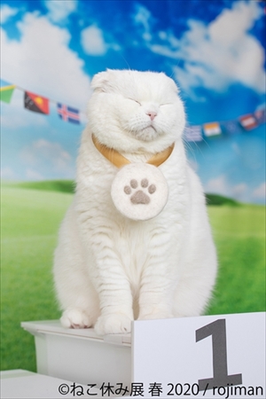 ねこ休み展 春