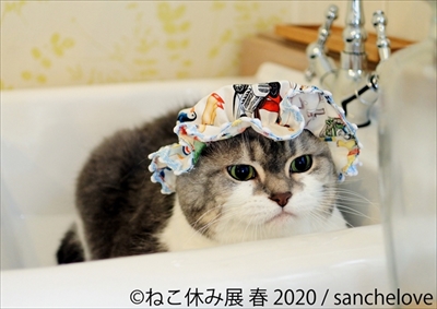 ねこ休み展 春